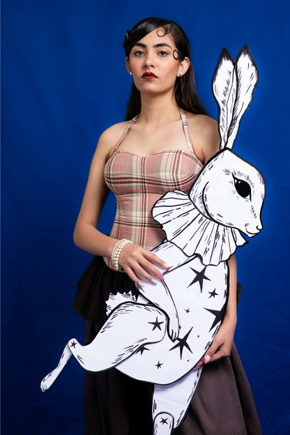 Press Release Corset
